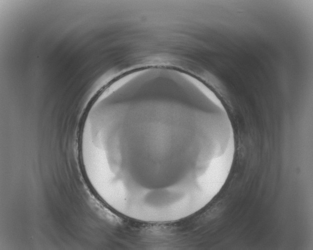 X0000081370950200701182135
