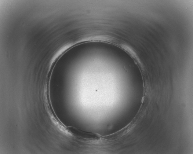X0000081370952200701182135