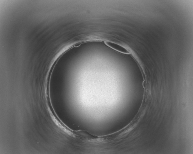X0000081370957200701182135