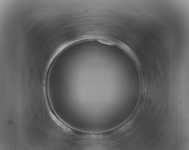 X0000081370958200701182135