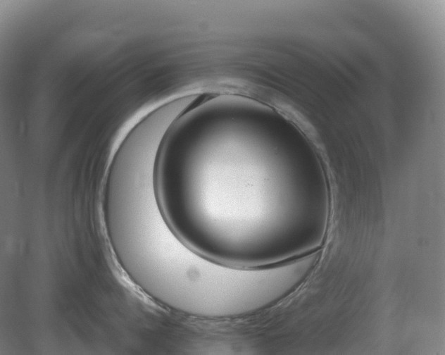X0000081370960200701182135