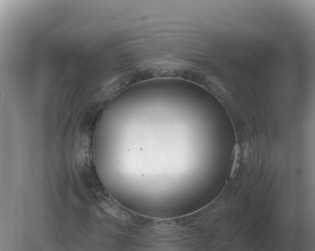 X0000081370964200701182135
