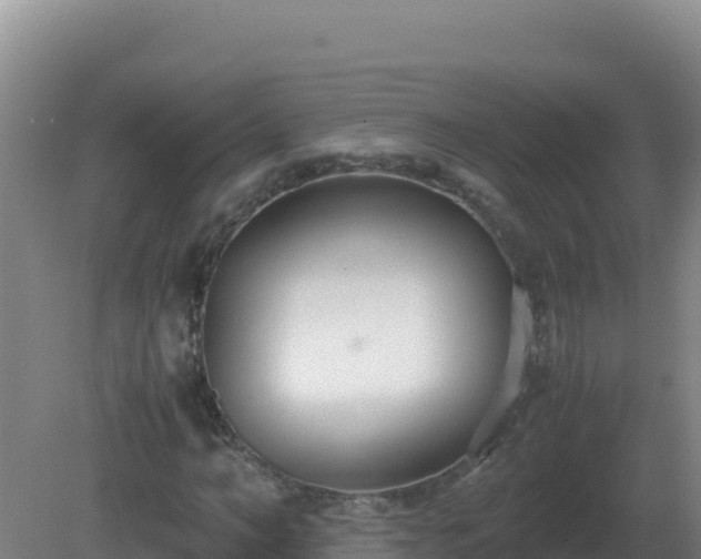 X0000081370966200701182134
