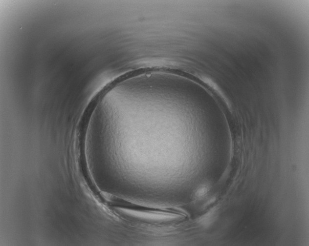 X0000081370983200701182134