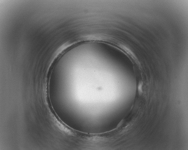 X0000081370992200701182134