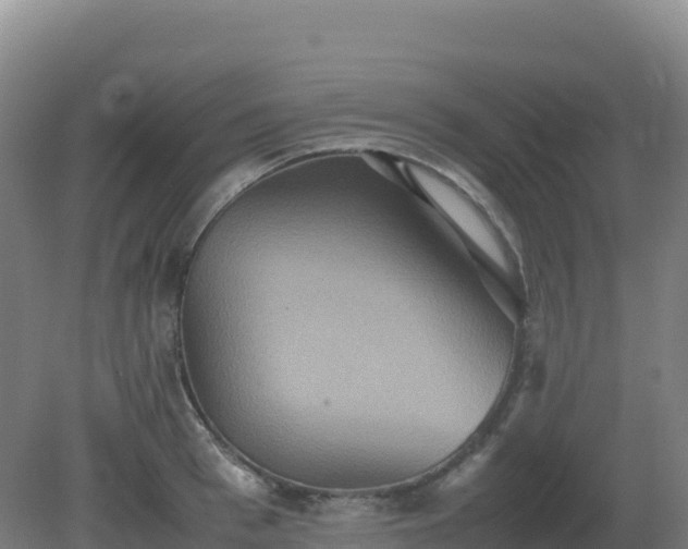 X0000081370993200701182134