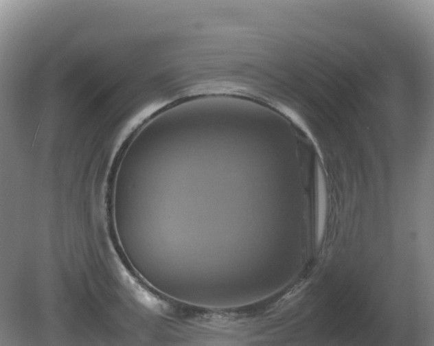 X0000081370995200701182134