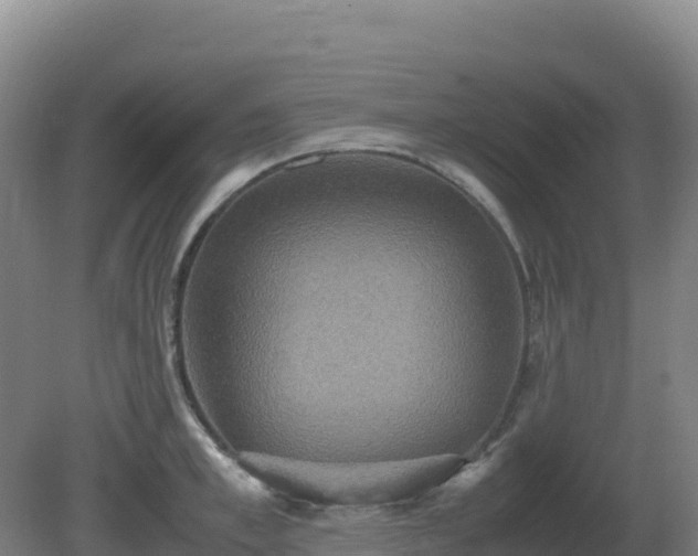 X0000081370997200701182134