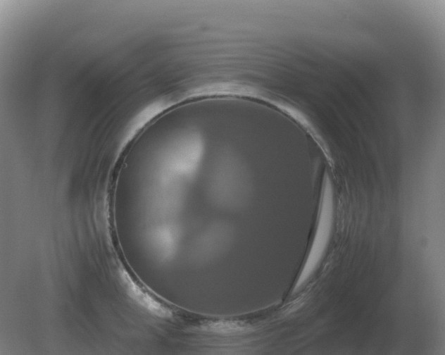 X0000081370998200701182134