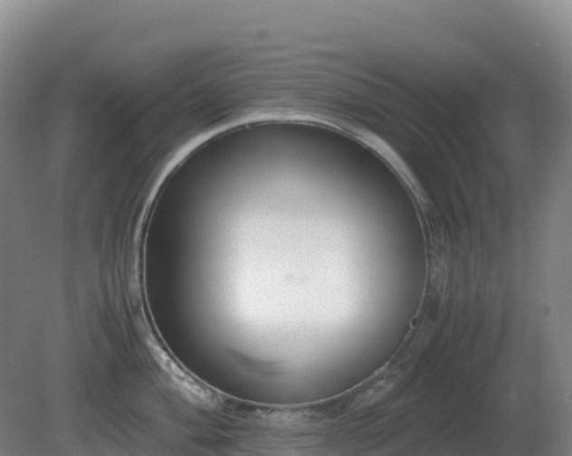 X0000081371004200701182134