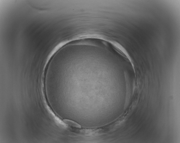 X0000081371005200701182134