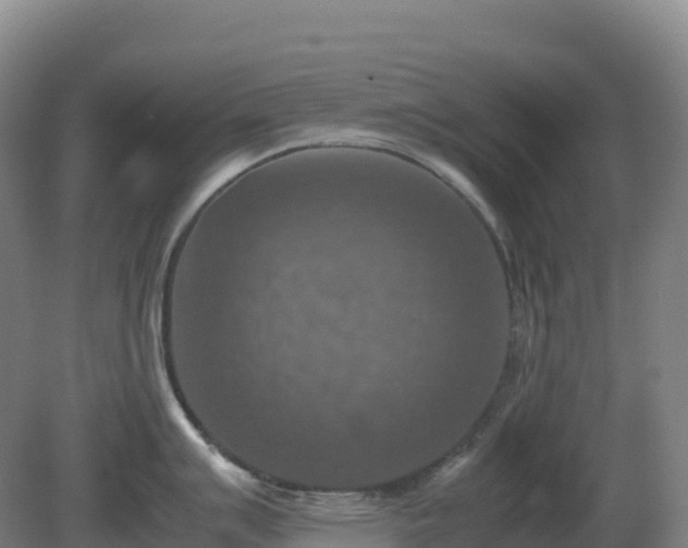 X0000081371007200701182134