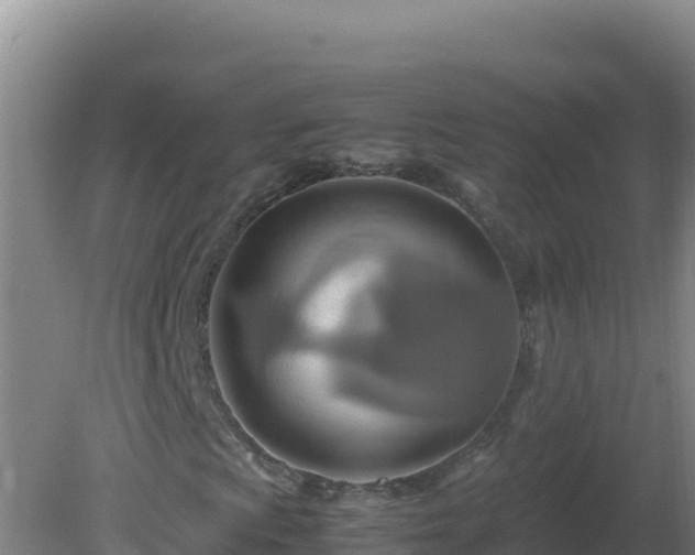 X0000081371009200701182133