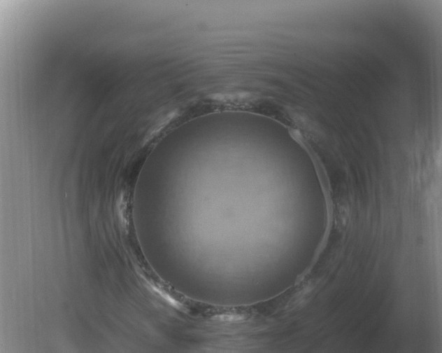 X0000081371010200701182133