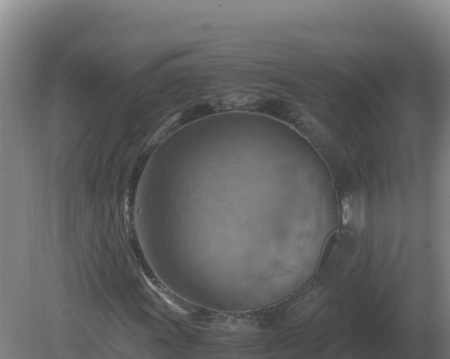 X0000081371011200701182133