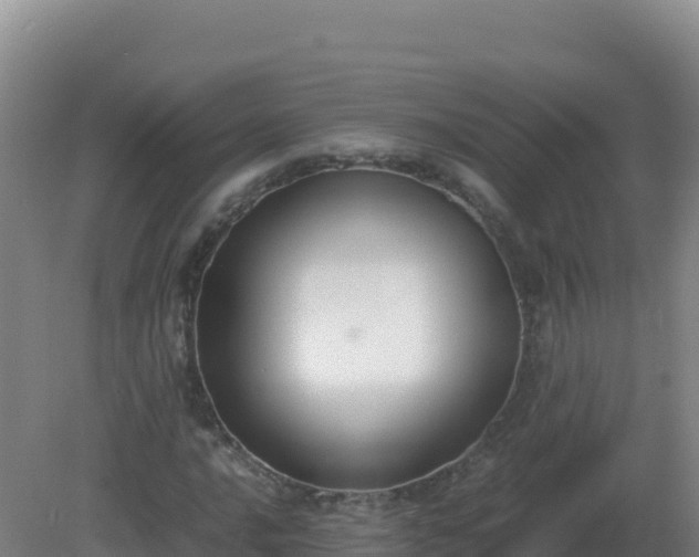 X0000081371016200701182133