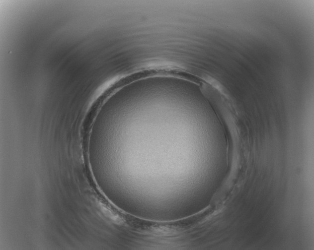 X0000081371022200701182133