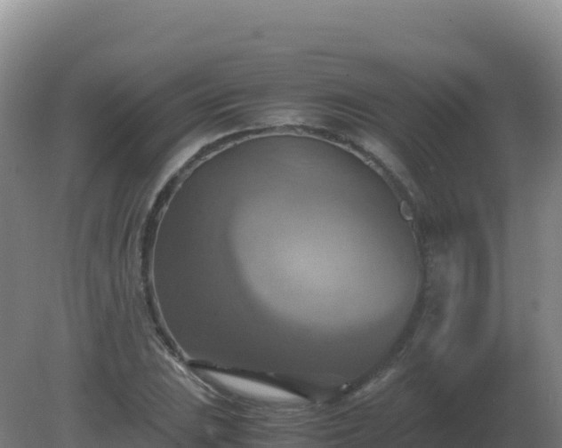X0000081371023200701182133