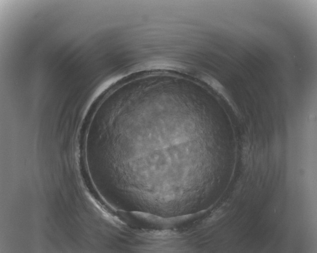 X0000081371024200701182133