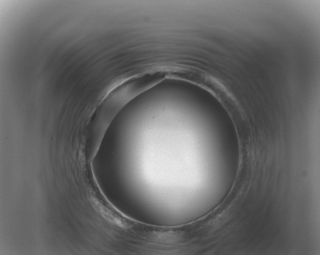 X0000081371025200701182133
