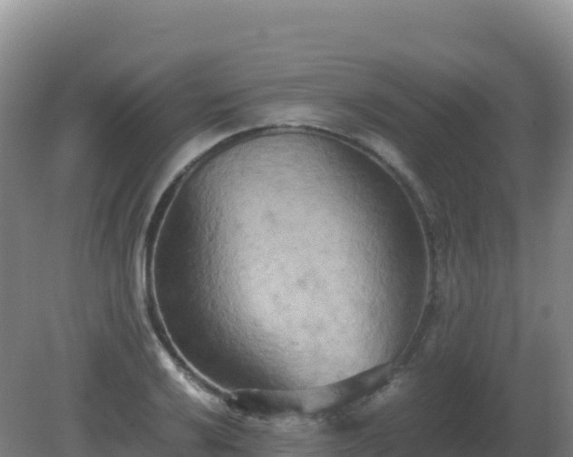 X0000081371032200701182133