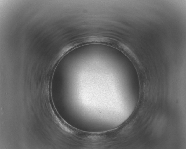 X0000081371033200701182133