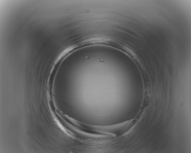 X0000081371034200701182133