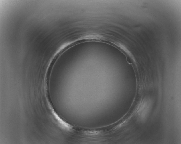 X0000081371037200701182133