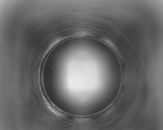 X0000081371039200701182133