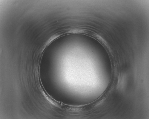 X0000081371041200701182133