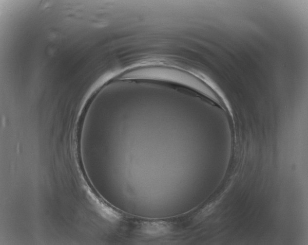 X0000081371045200701182134