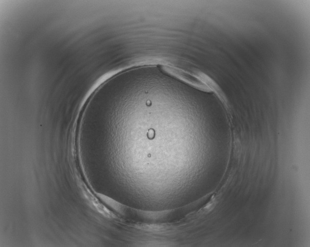 X0000081371052200701182134