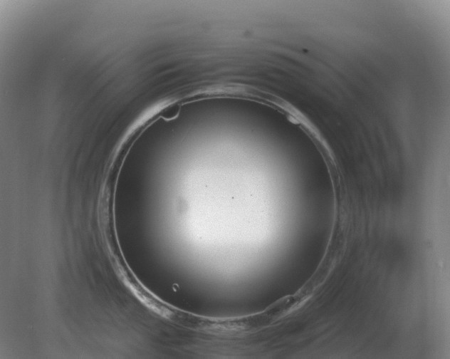 X0000081371053200701182134