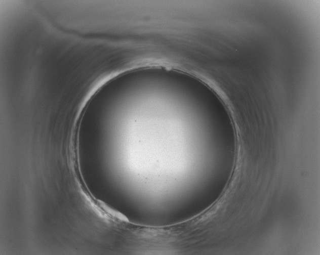 X0000081371056200701182134