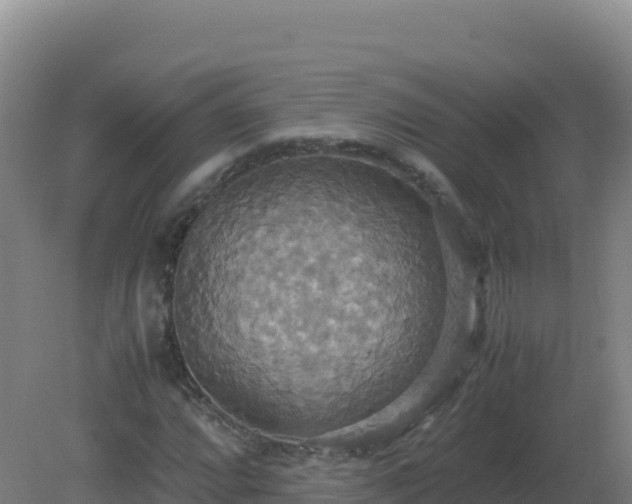 X0000081371064200701182133