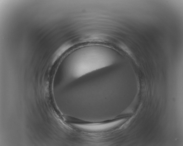 X0000081371066200701182133