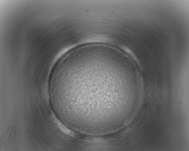X0000081371072200701182133