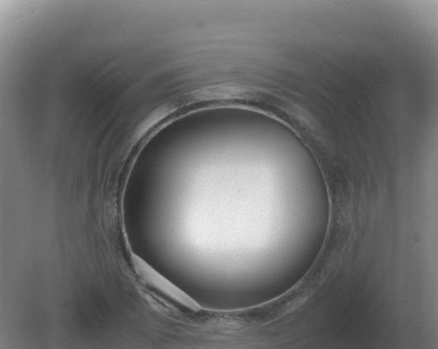 X0000081371073200701182133