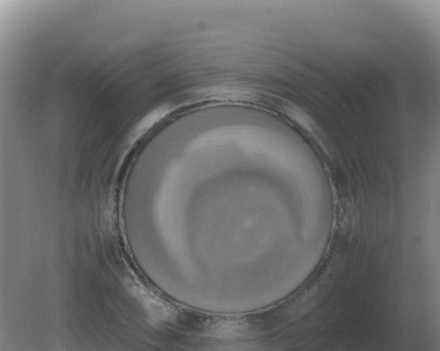 X0000081371074200701182133