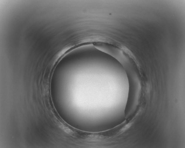 X0000081371081200701182133