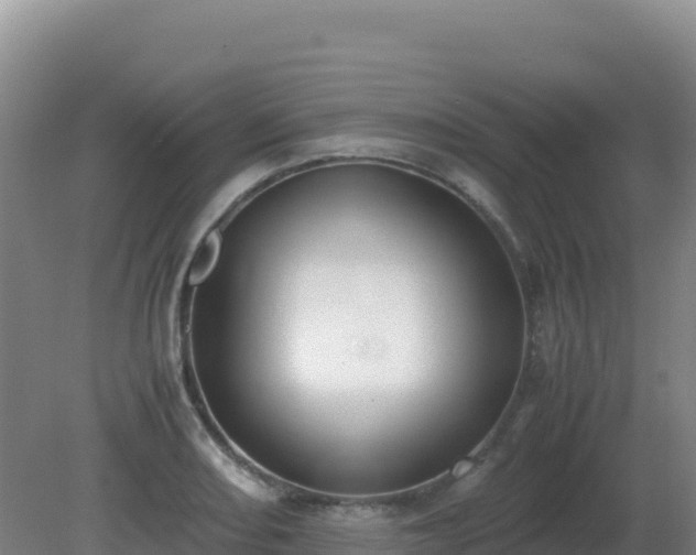X0000081371082200701182133