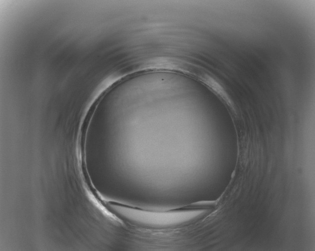 X0000081371084200701182132
