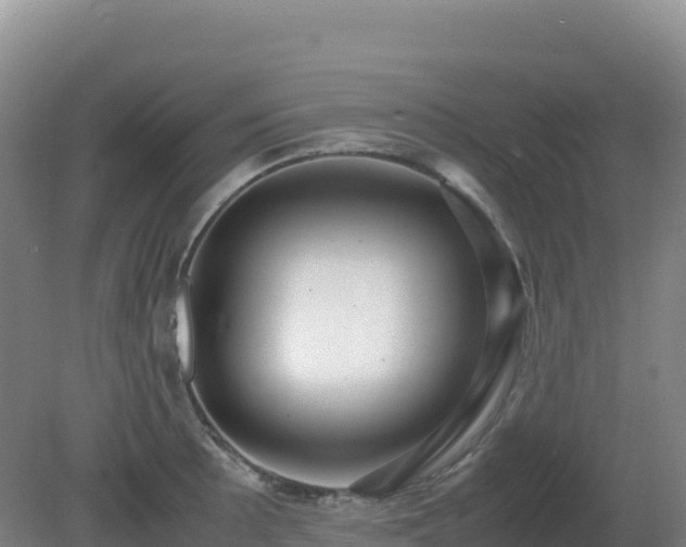 X0000081371089200701182132
