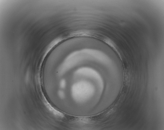 X0000081371090200701182132