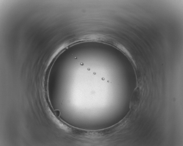 X0000081371091200701182132