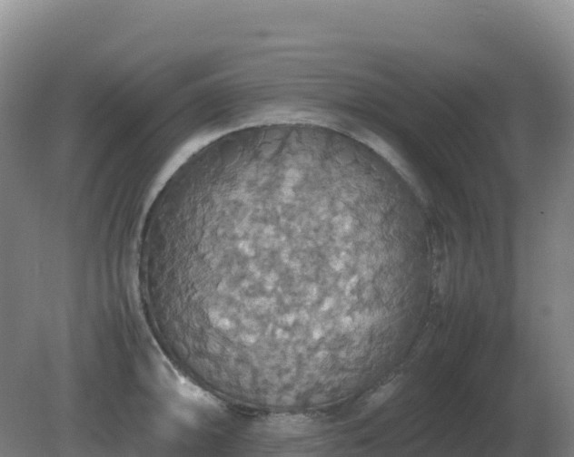 X0000081371094200701182132
