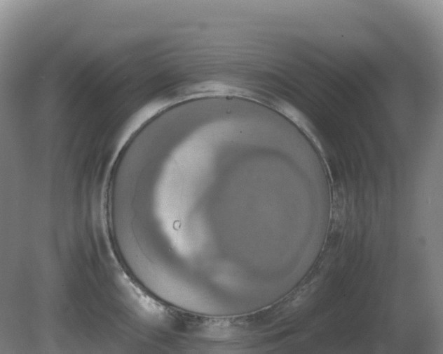 X0000081371098200701182132