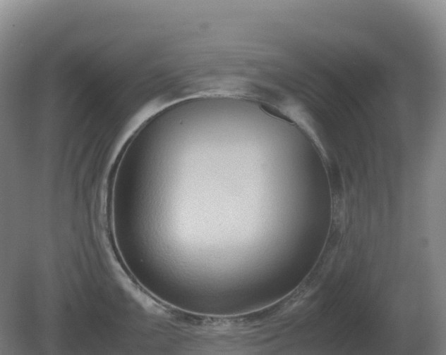 X0000081371099200701182132