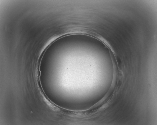 X0000081371101200701182132