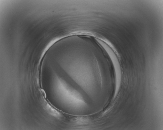 X0000081371102200701182132